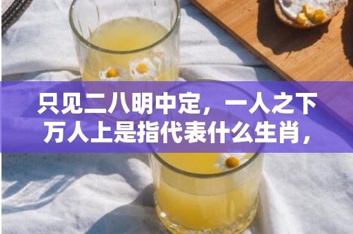 只见二八明中定，一人之下万人上是指代表什么生肖，成语释义解释落实