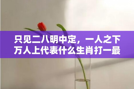 只见二八明中定，一人之下万人上代表什么生肖打一最佳数字生肖，成语释义解释落实