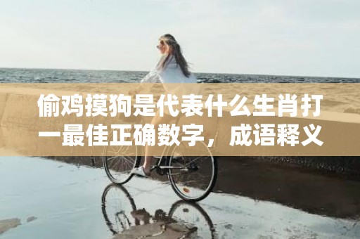偷鸡摸狗是代表什么生肖打一最佳正确数字，成语释义解释落实