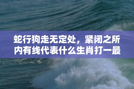蛇行狗走无定处，紧闭之所内有线代表什么生肖打一最佳数字生肖，成语释义解释落实