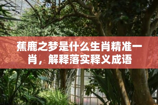 蕉鹿之梦是什么生肖精准一肖，解释落实释义成语