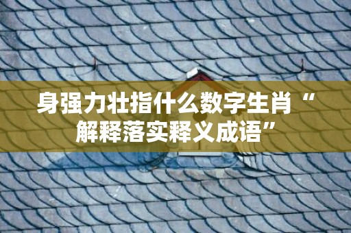 身强力壮指什么数字生肖“解释落实释义成语”