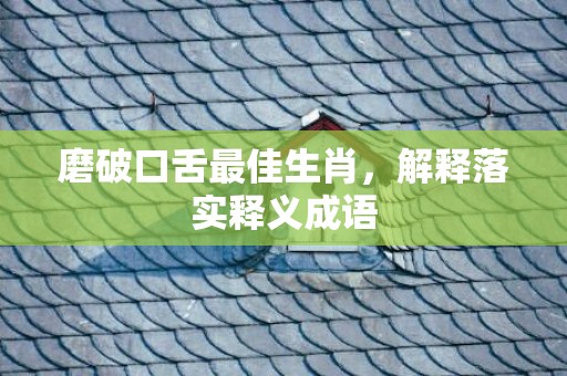 磨破口舌最佳生肖，解释落实释义成语