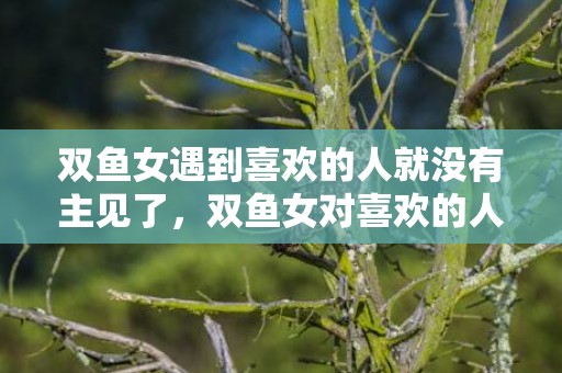 双鱼女遇到喜欢的人就没有主见了，双鱼女对喜欢的人有距离感