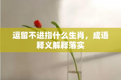 逗留不进指什么生肖，成语释义解释落实