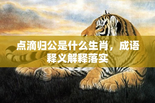 点滴归公是什么生肖，成语释义解释落实