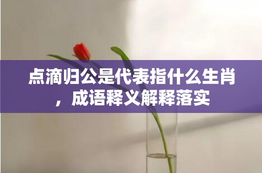 点滴归公是代表指什么生肖，成语释义解释落实