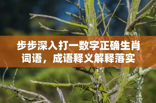 步步深入打一数字正确生肖词语，成语释义解释落实
