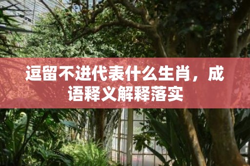 逗留不进代表什么生肖，成语释义解释落实