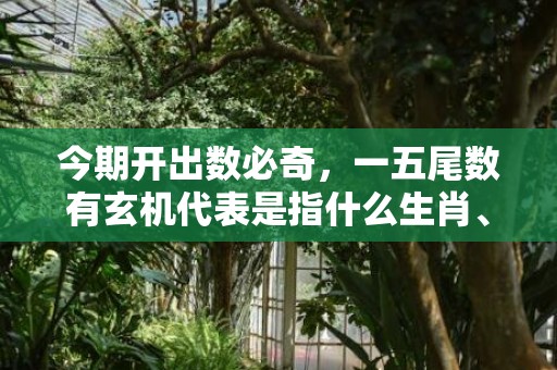 今期开出数必奇，一五尾数有玄机代表是指什么生肖、“成语解释精准落实”