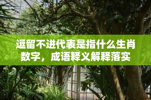 逗留不进代表是指什么生肖数字，成语释义解释落实