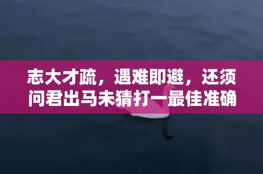 志大才疏，遇难即避，还须问君出马未猜打一最佳准确正确生肖数字，解析成语释义落实
