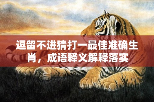 逗留不进猜打一最佳准确生肖，成语释义解释落实