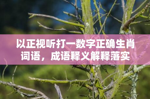 以正视听打一数字正确生肖词语，成语释义解释落实