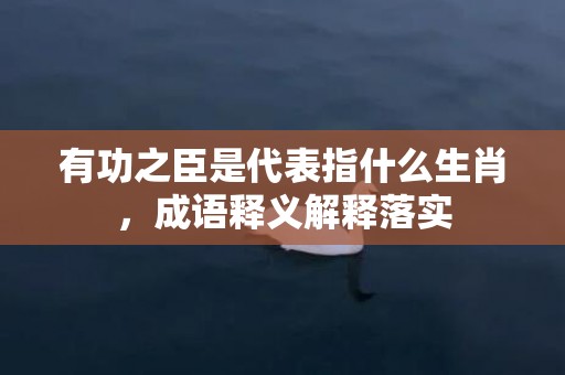 有功之臣是代表指什么生肖，成语释义解释落实