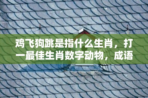 鸡飞狗跳是指什么生肖，打一最佳生肖数字动物，成语释义解释落实