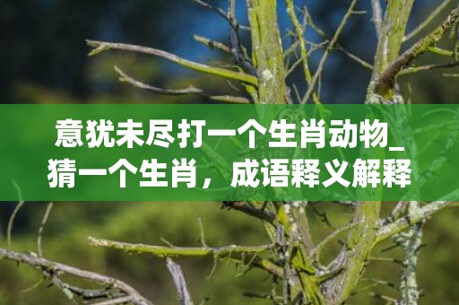 意犹未尽打一个生肖动物_猜一个生肖，成语释义解释落实