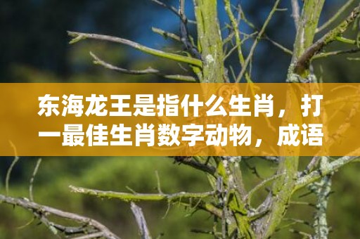 东海龙王是指什么生肖，打一最佳生肖数字动物，成语释义解释落实