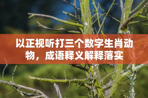 以正视听打三个数字生肖动物，成语释义解释落实