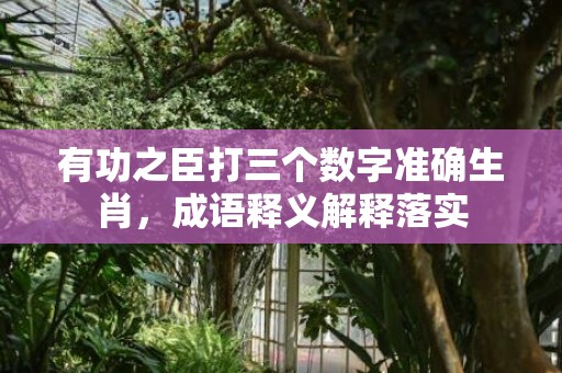 有功之臣打三个数字准确生肖，成语释义解释落实
