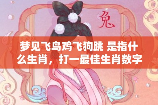 梦见飞鸟鸡飞狗跳 是指什么生肖，打一最佳生肖数字动物”成语释义解释落实“