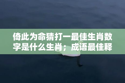 倚此为命猜打一最佳生肖数字是什么生肖；成语最佳释义解释答案