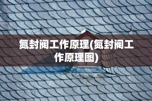氮封阀工作原理(氮封阀工作原理图)