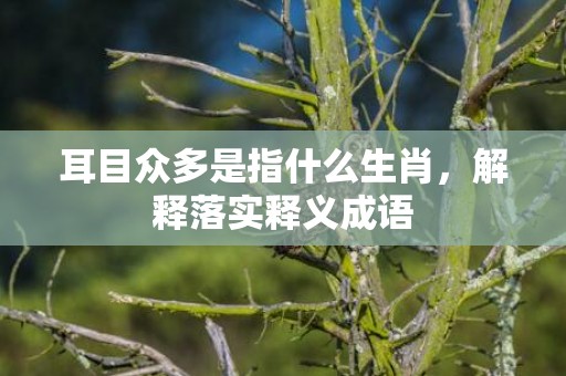 耳目众多是指什么生肖，解释落实释义成语