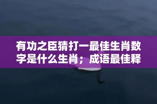 有功之臣猜打一最佳生肖数字是什么生肖；成语最佳释义解释答案