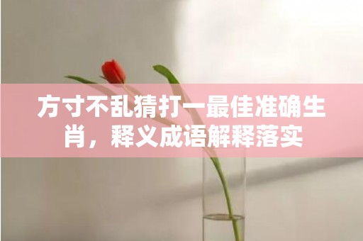 方寸不乱猜打一最佳准确生肖，释义成语解释落实