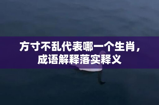 方寸不乱代表哪一个生肖，成语解释落实释义