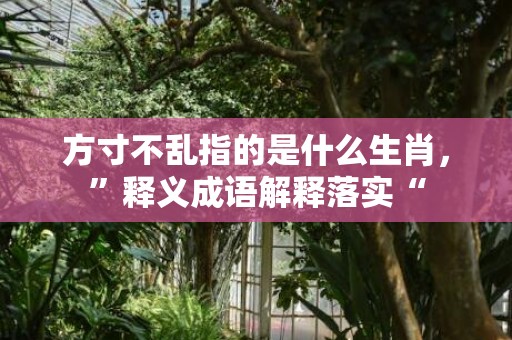 方寸不乱指的是什么生肖，”释义成语解释落实“