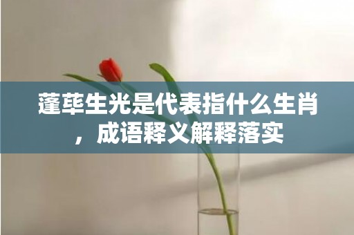 蓬荜生光是代表指什么生肖，成语释义解释落实