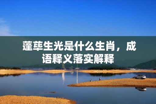  蓬荜生光是什么生肖，成语释义落实解释