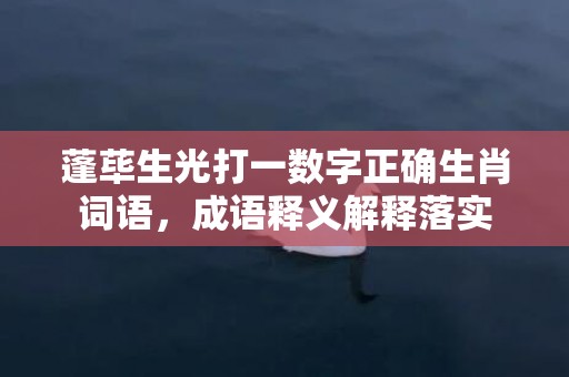 蓬荜生光打一数字正确生肖词语，成语释义解释落实