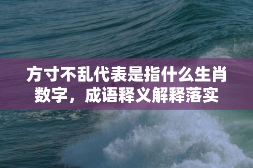 方寸不乱代表是指什么生肖数字，成语释义解释落实