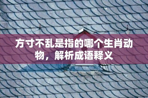 方寸不乱是指的哪个生肖动物，解析成语释义