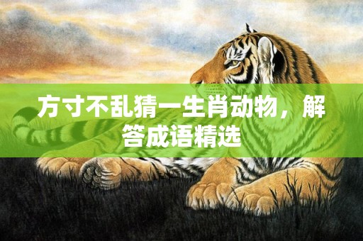 方寸不乱猜一生肖动物，解答成语精选