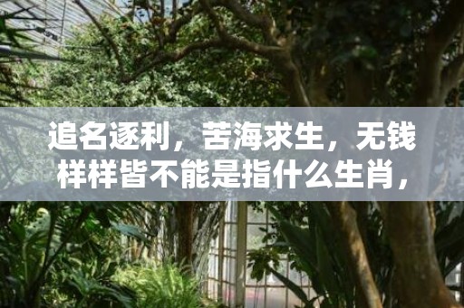 追名逐利，苦海求生，无钱样样皆不能是指什么生肖，成语最佳释义解释答