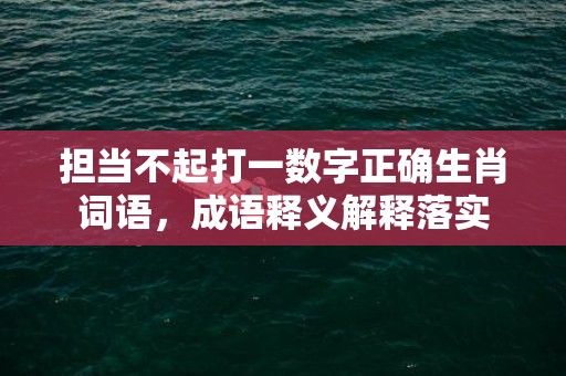 担当不起打一数字正确生肖词语，成语释义解释落实