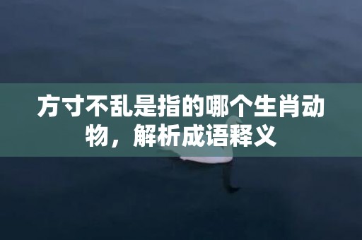 方寸不乱是指的哪个生肖动物，解析成语释义