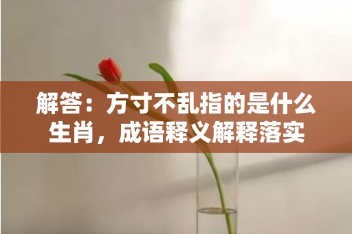 解答：方寸不乱指的是什么生肖，成语释义解释落实