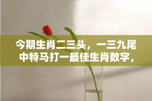 今期生肖二三头，一三九尾中特马打一最佳生肖数字，成语最佳释义解释答