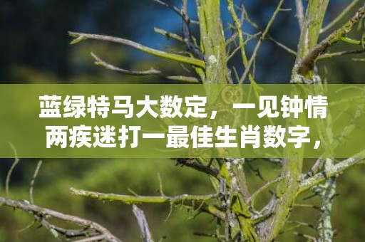 蓝绿特马大数定，一见钟情两疾迷打一最佳生肖数字，成语最佳释义解释答插图