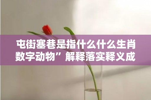 屯街塞巷是指什么什么生肖数字动物”解释落实释义成语“