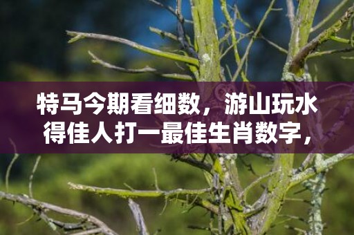 特马今期看细数，游山玩水得佳人打一最佳生肖数字，成语最佳释义解释答插图