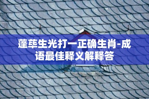 蓬荜生光打一正确生肖-成语最佳释义解释答