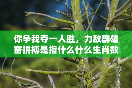 你争我夺一人胜，力敌群雄奋拼搏是指什么什么生肖数字动物”解释落实释义成语“