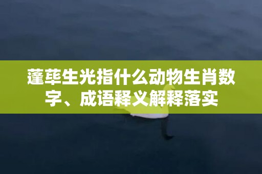 蓬荜生光指什么动物生肖数字、成语释义解释落实