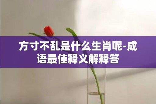 方寸不乱是什么生肖呢-成语最佳释义解释答